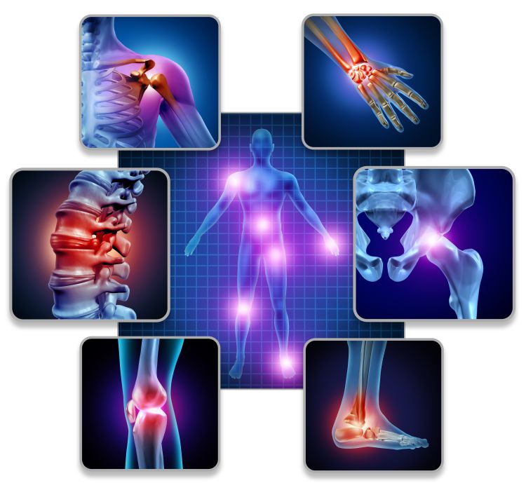 AdobeStock_Human Body Joint Pain_Copyright freshidea